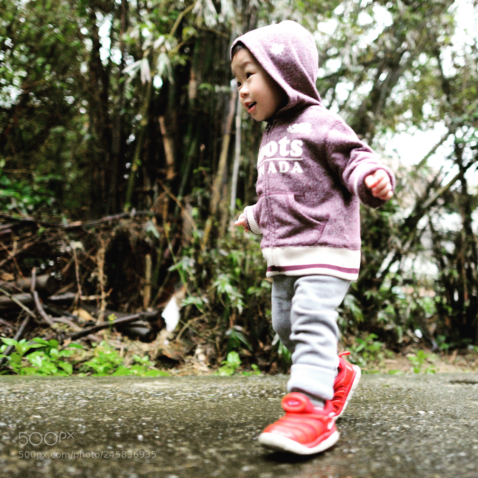 Nikon D800 sample photo. Untitled photography