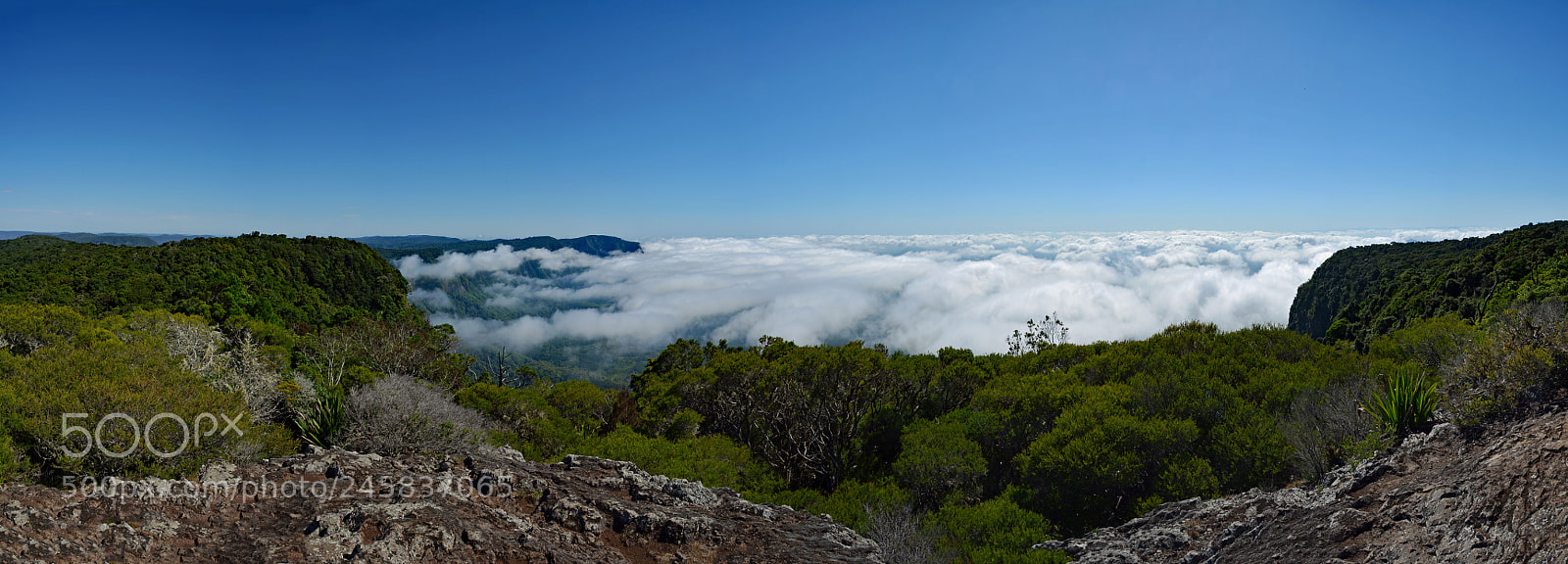 Nikon D5200 sample photo. Untitled panorama photography