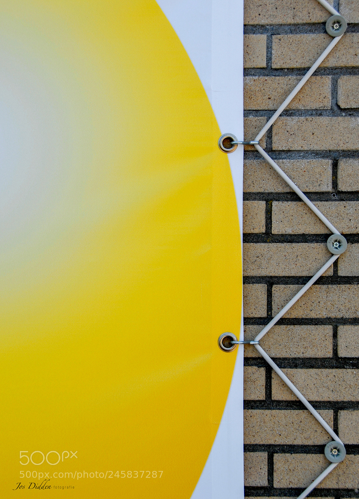 Nikon D200 sample photo. Yellow ball photography