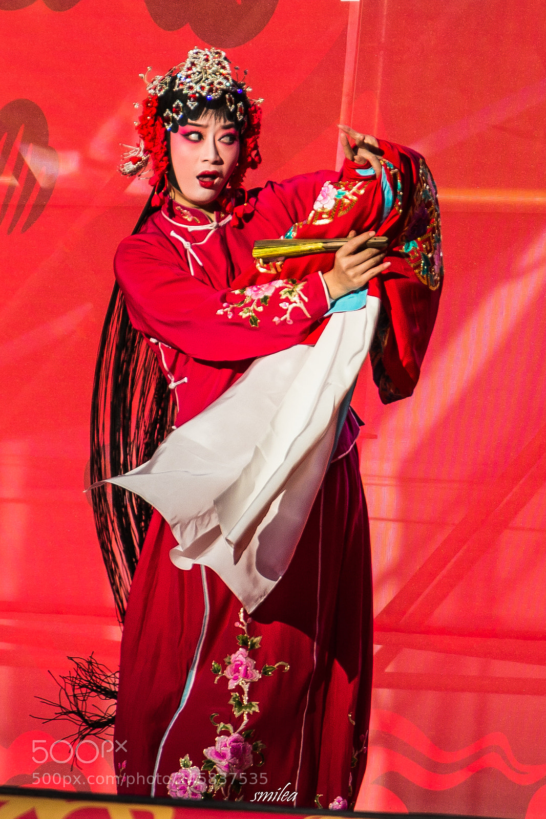 Nikon D7100 sample photo. Chinese new year show photography