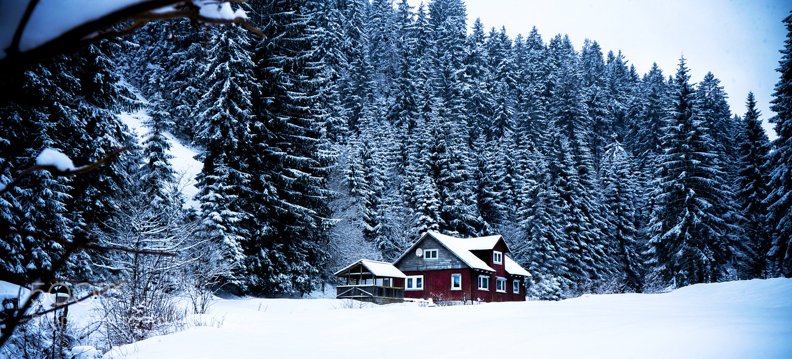 Sony a7 sample photo. Forgiven photography