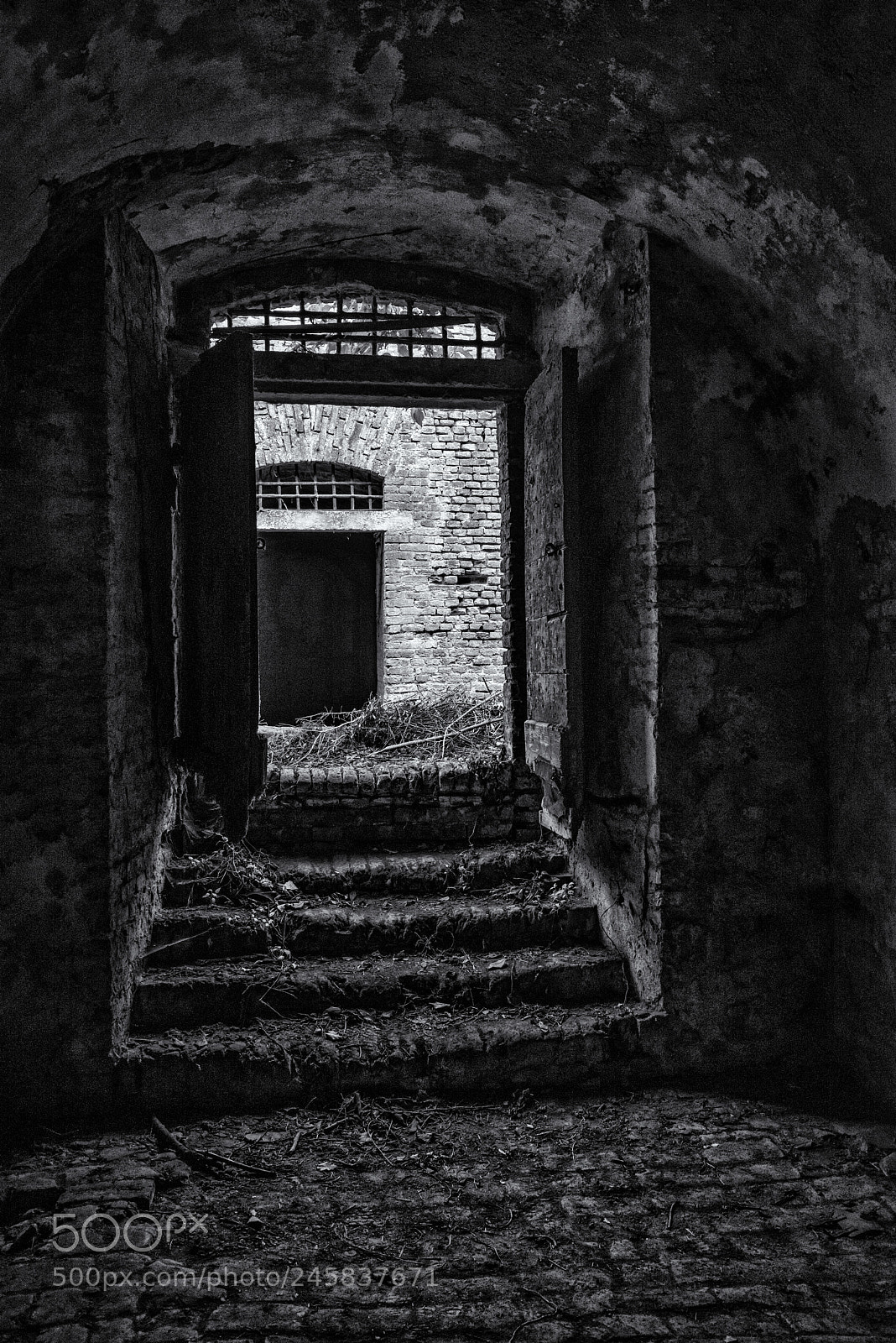 Nikon D800 sample photo. Open door photography