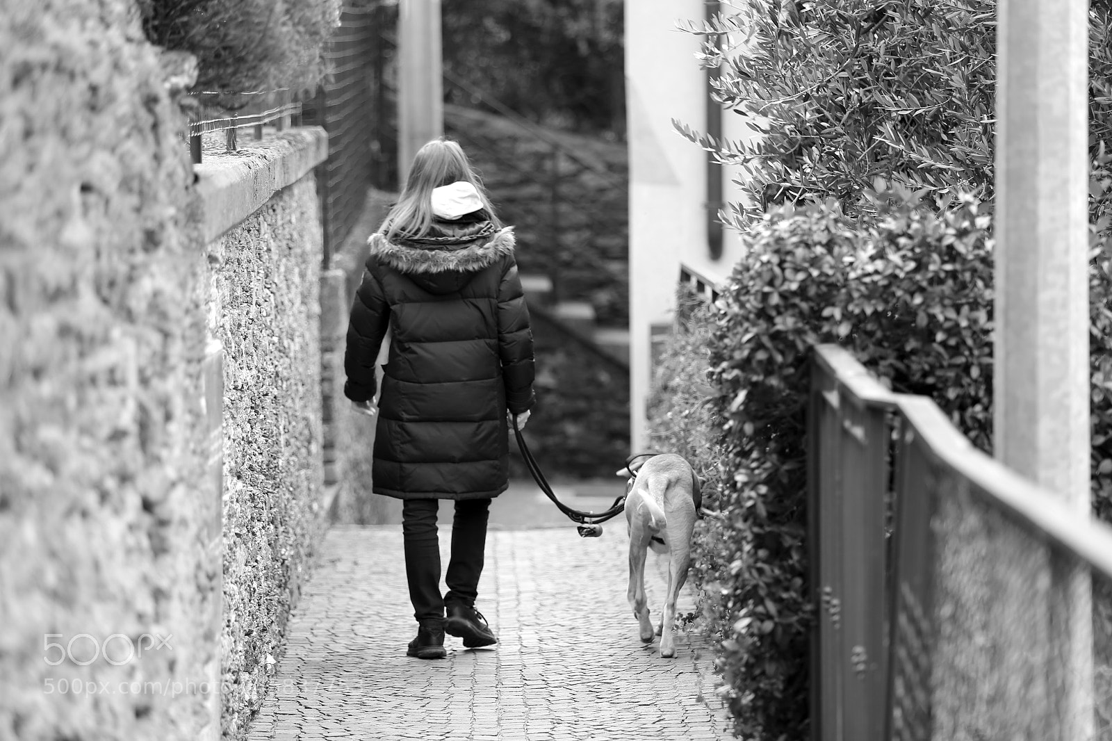 Canon EF 70-200mm F2.8L IS II USM sample photo. Walking photography