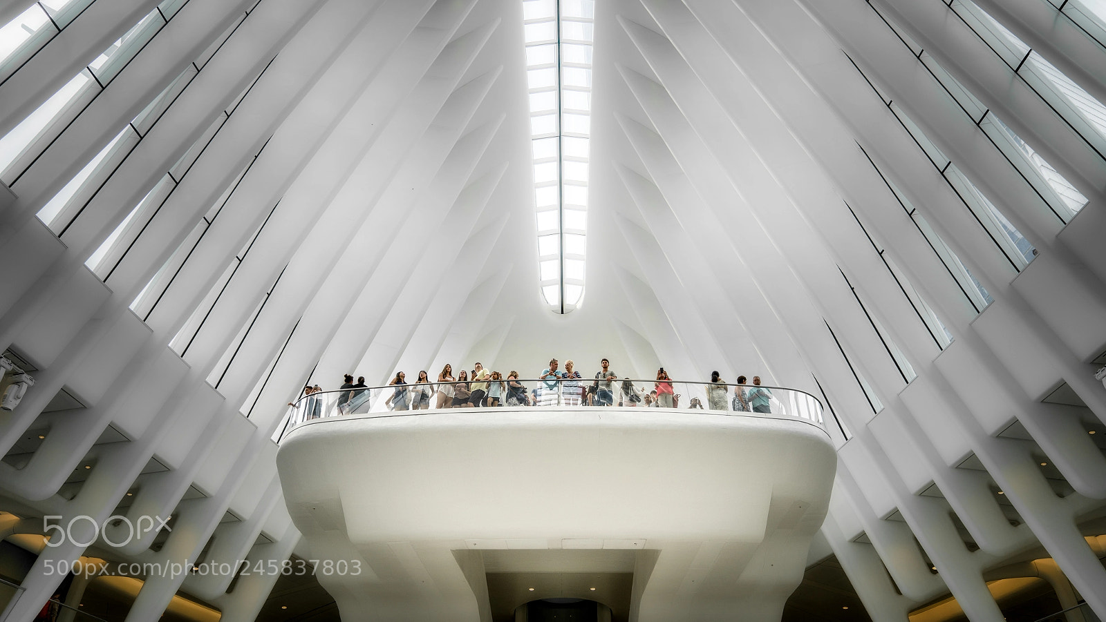 Sony a7R II sample photo. Santiago calatrava's oculus photography