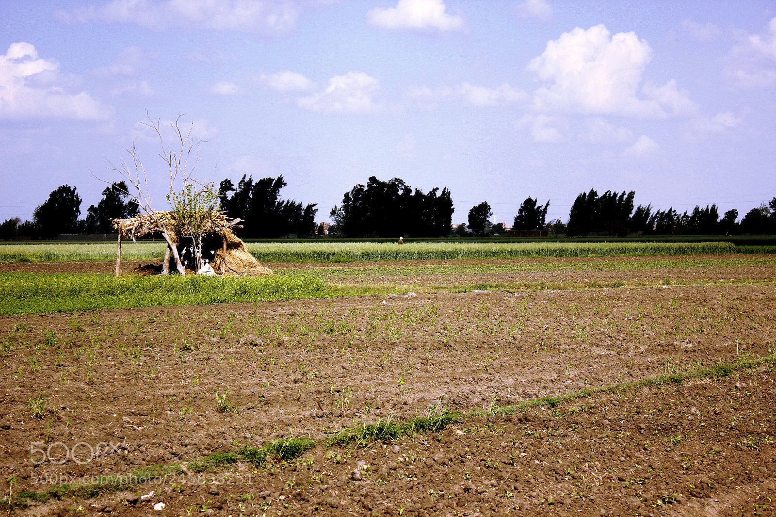 Canon EOS 550D (EOS Rebel T2i / EOS Kiss X4) sample photo. The simplicity of the photography