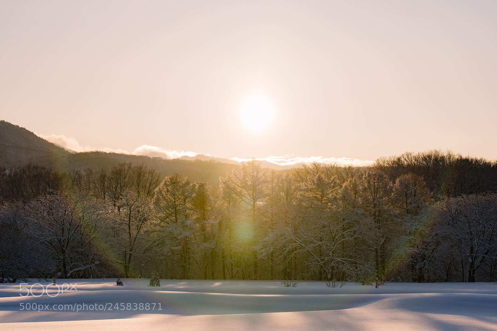 Nikon D850 sample photo. Sunrise photography