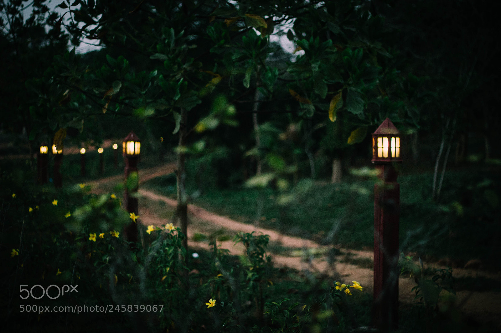 Canon EOS 60D sample photo. Some lanterns 4 u photography