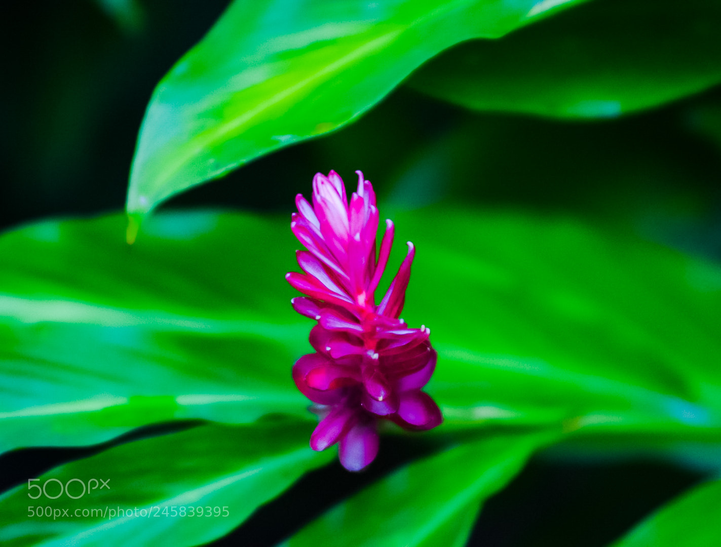 Nikon D7100 sample photo. Untitled photography