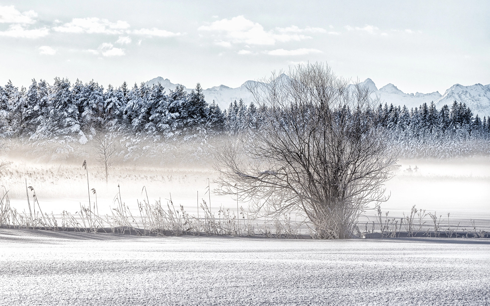 Sony SLT-A99V sample photo. Winterwonderland photography