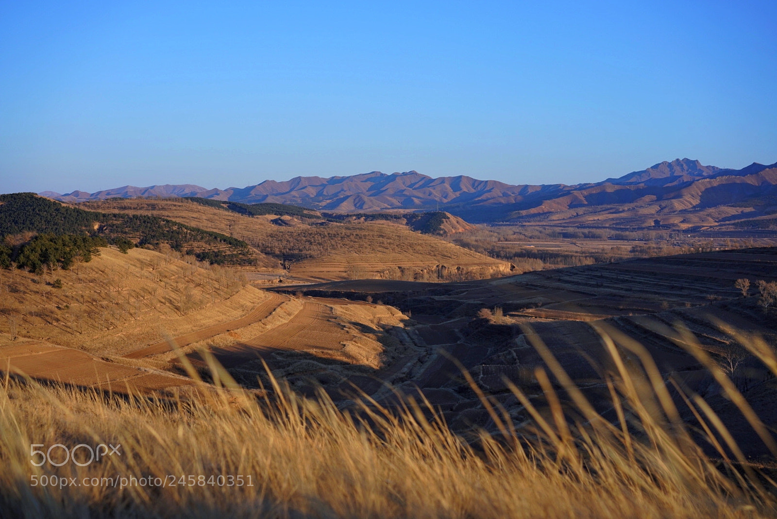 Sony a7R III sample photo. Quiet countryside photography