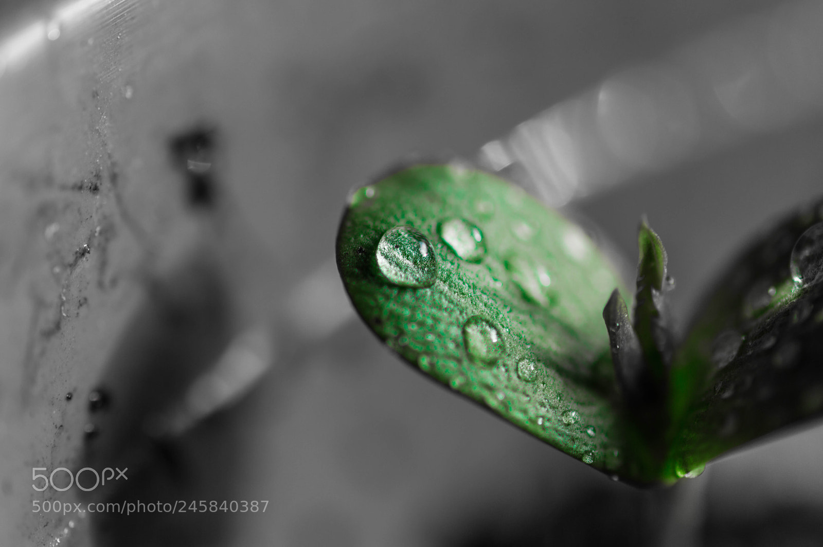 Nikon D3200 sample photo. The purity of the photography