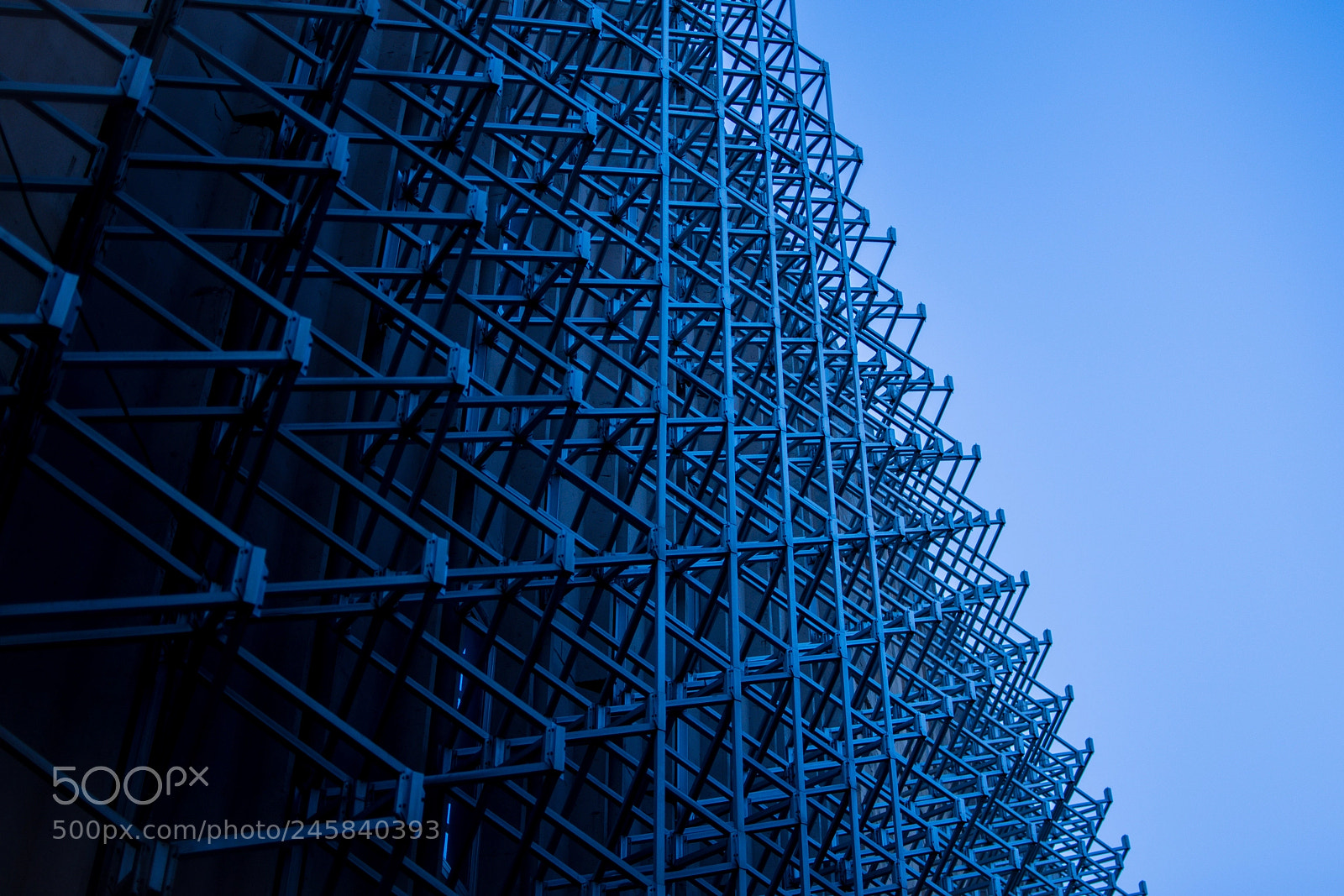 Nikon D7200 sample photo. Up or down? photography