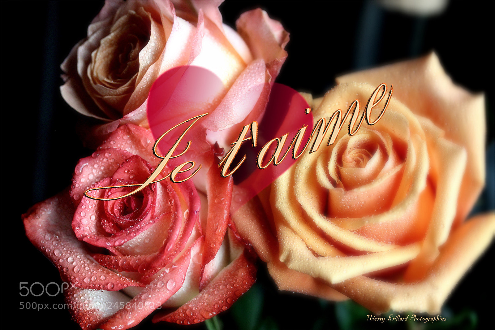 Canon EOS 600D (Rebel EOS T3i / EOS Kiss X5) sample photo. Je t'aime photography