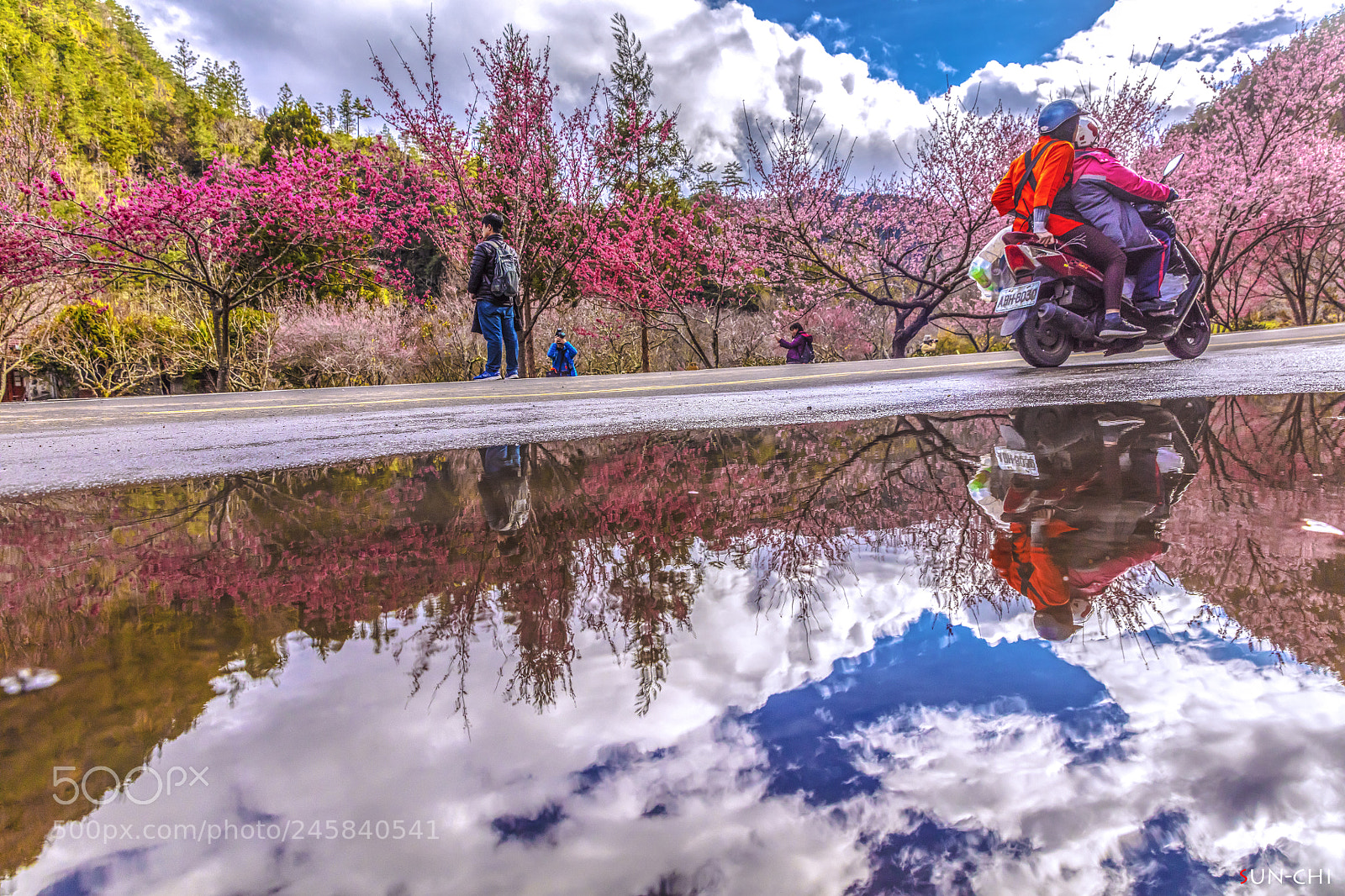 Canon EOS 5DS sample photo. 櫻花倒影 photography