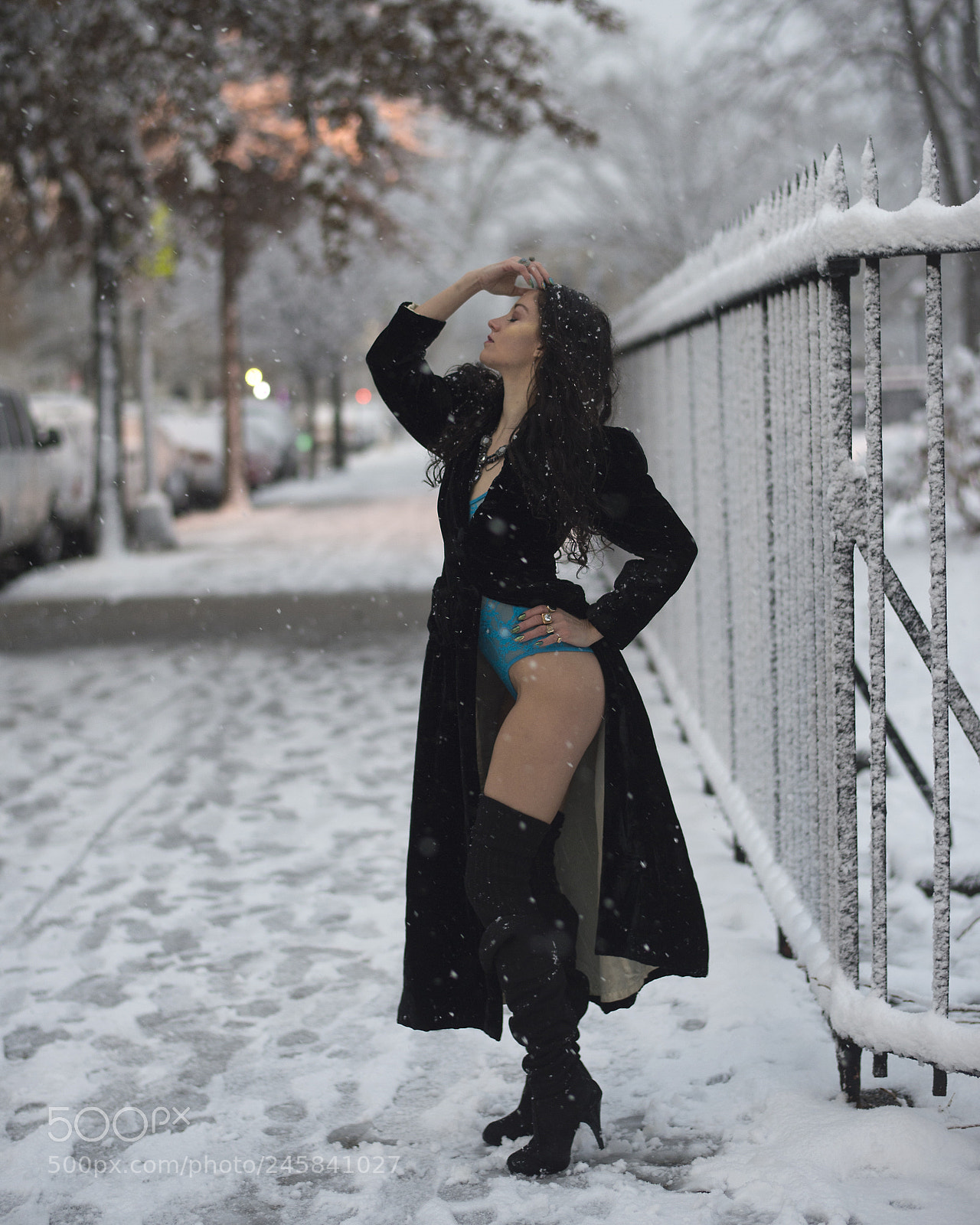 Nikon D4 sample photo. Frozen photography