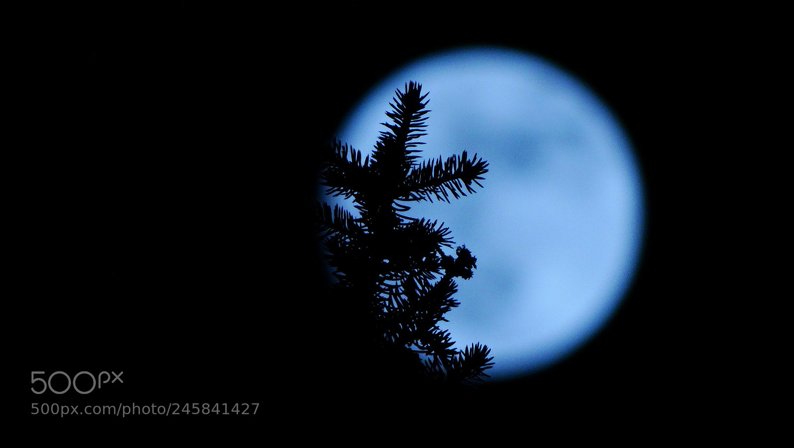 Sony Cyber-shot DSC-HX300 sample photo. Blue moon photography
