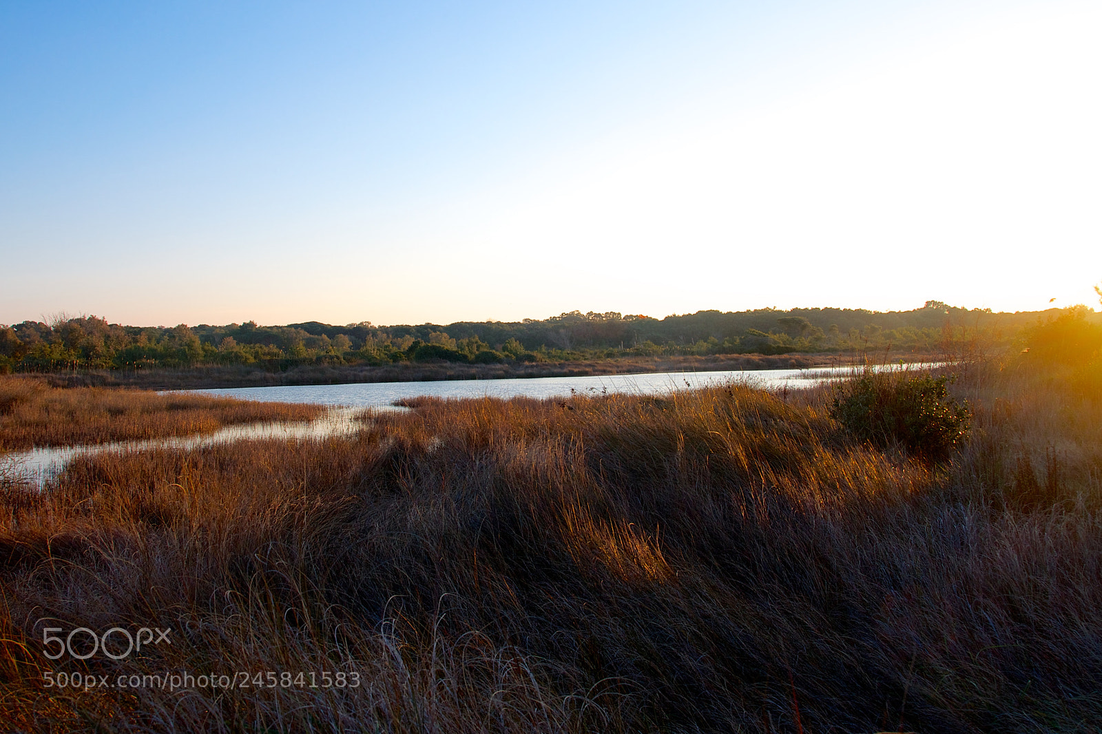 Nikon D5000 sample photo. Free sunset photography