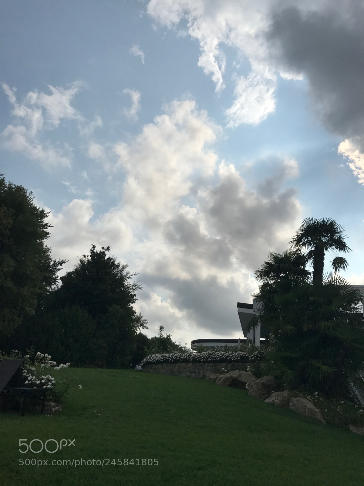 Apple iPhone 7 sample photo. Untitled photography