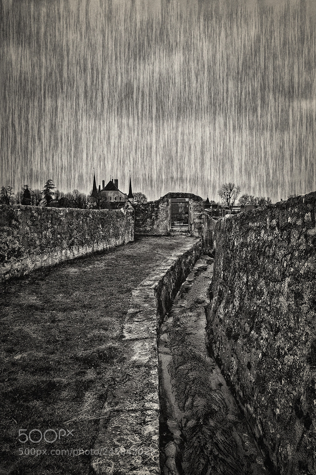 Nikon D500 sample photo. Cours d'eau photography