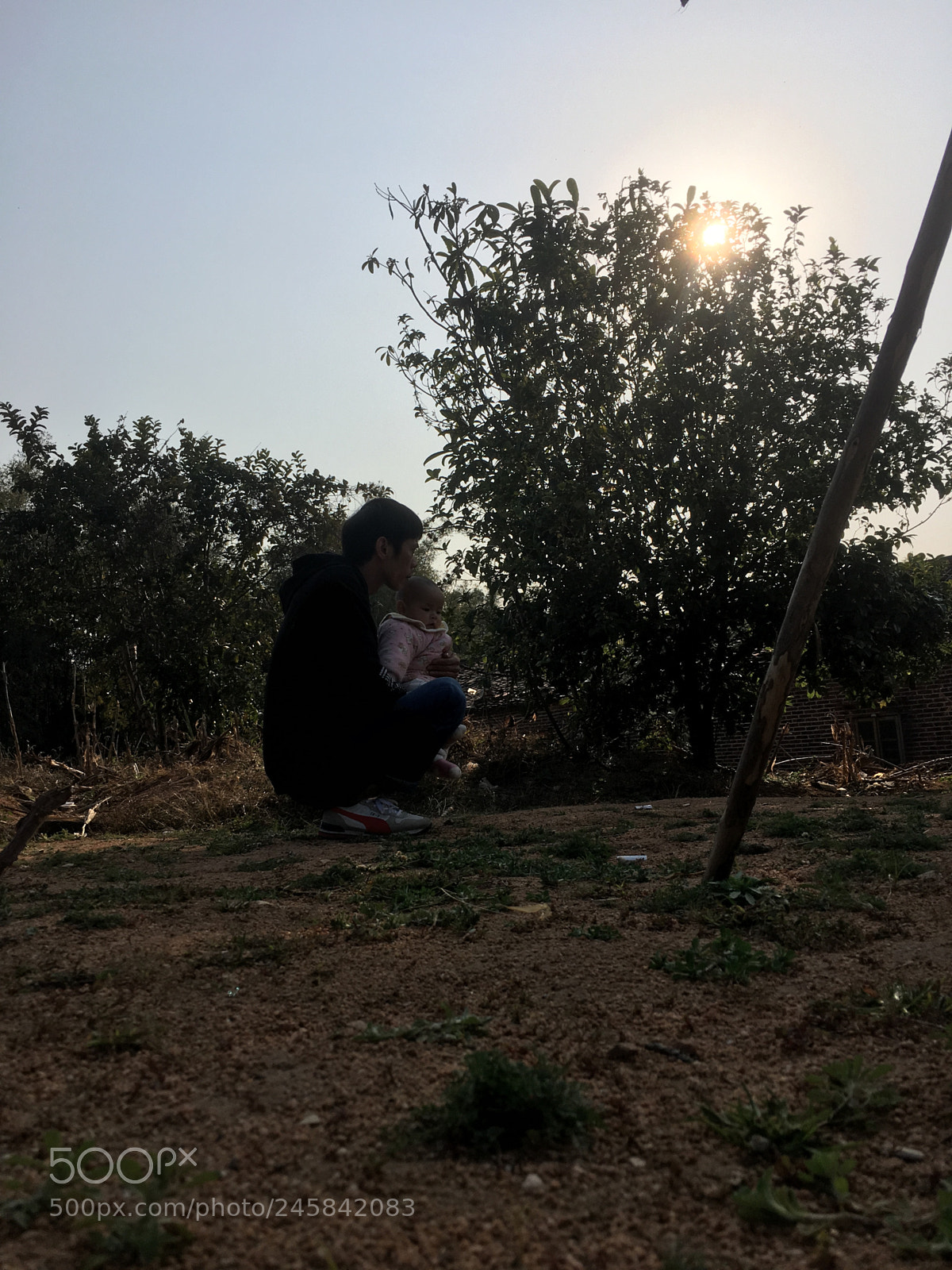 Apple iPhone 6s Plus sample photo. Untitled photography