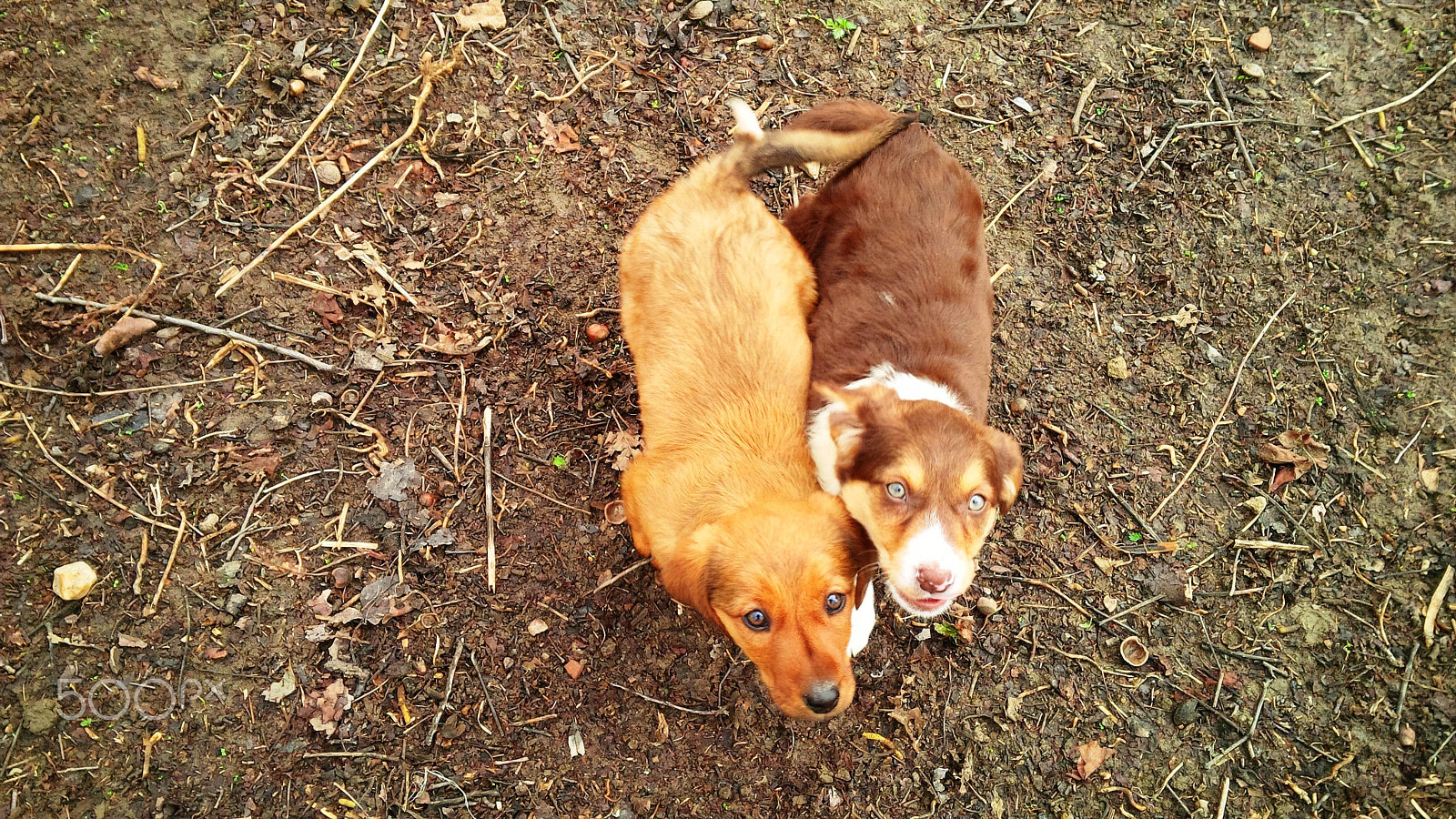 BlackBerry Z10 sample photo. Cute little munchkins photography