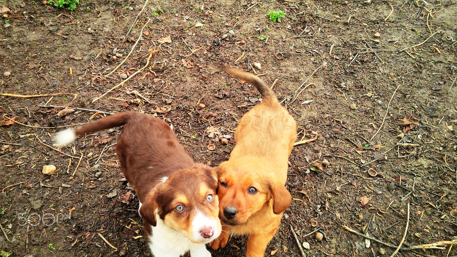 BlackBerry Z10 sample photo. Cute little munchkins photography