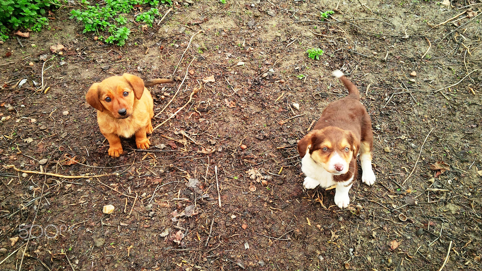 BlackBerry Z10 sample photo. Cute little munchkins photography