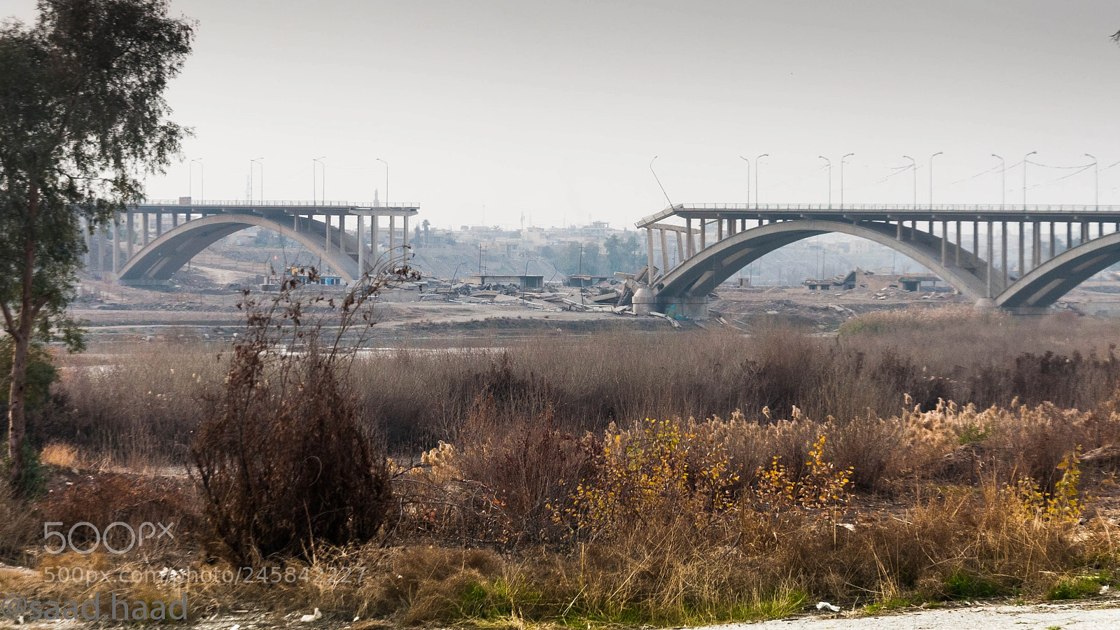 Nikon D90 sample photo. Bridge, mosul city-iraq.. photography