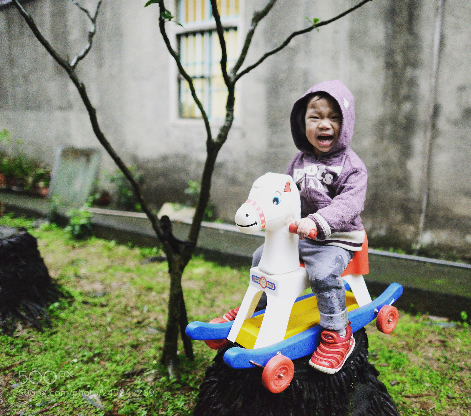 Nikon D800 sample photo. Untitled photography