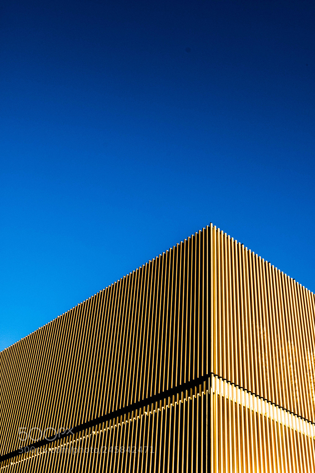 Fujifilm X-T20 sample photo. Blue gold photography