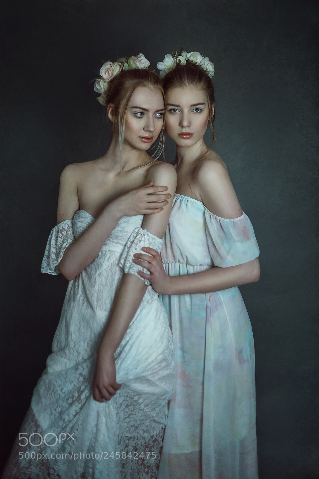 Nikon D810 sample photo. Doves photography