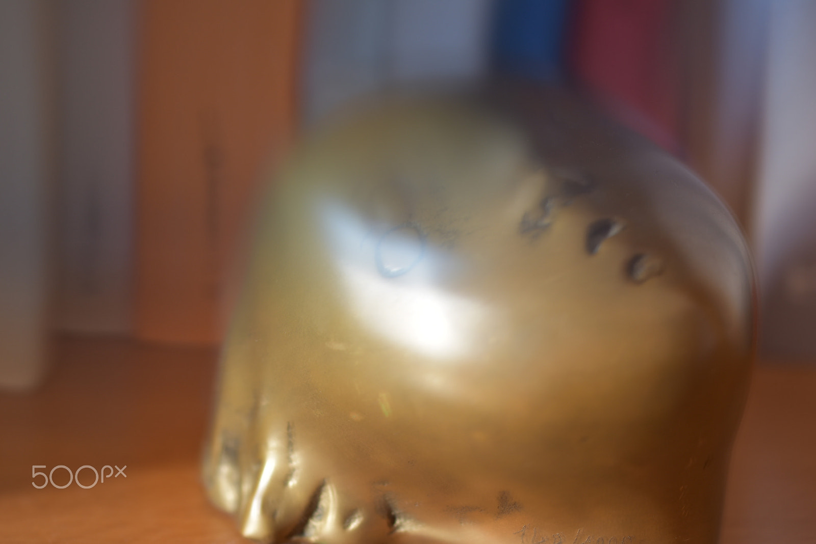 Sigma 105mm F2.8 EX DG OS HSM sample photo. The art of losing -4- photography