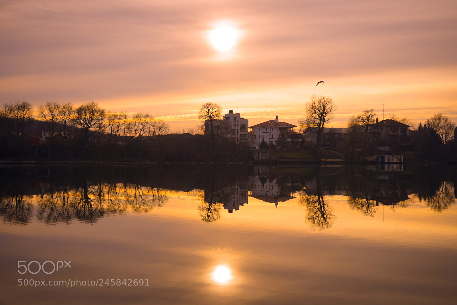 Sony a7 sample photo. Mogosoaia sunset photography