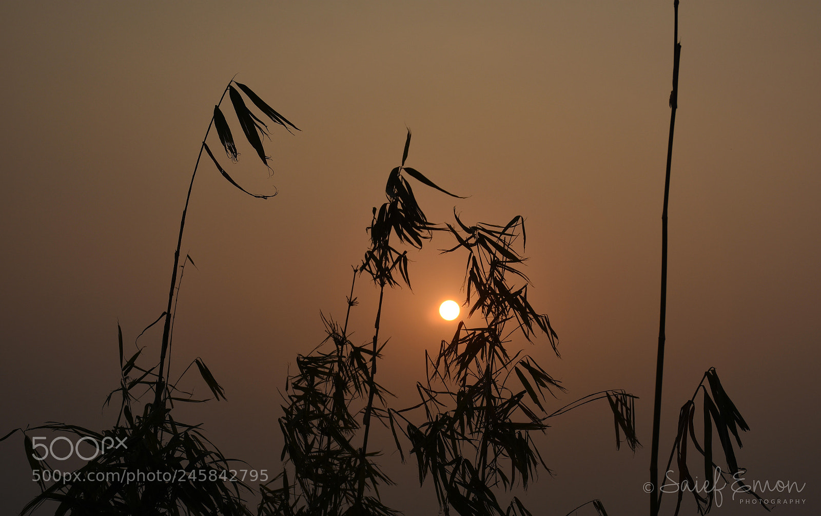 Nikon D7200 sample photo. Sunset photography