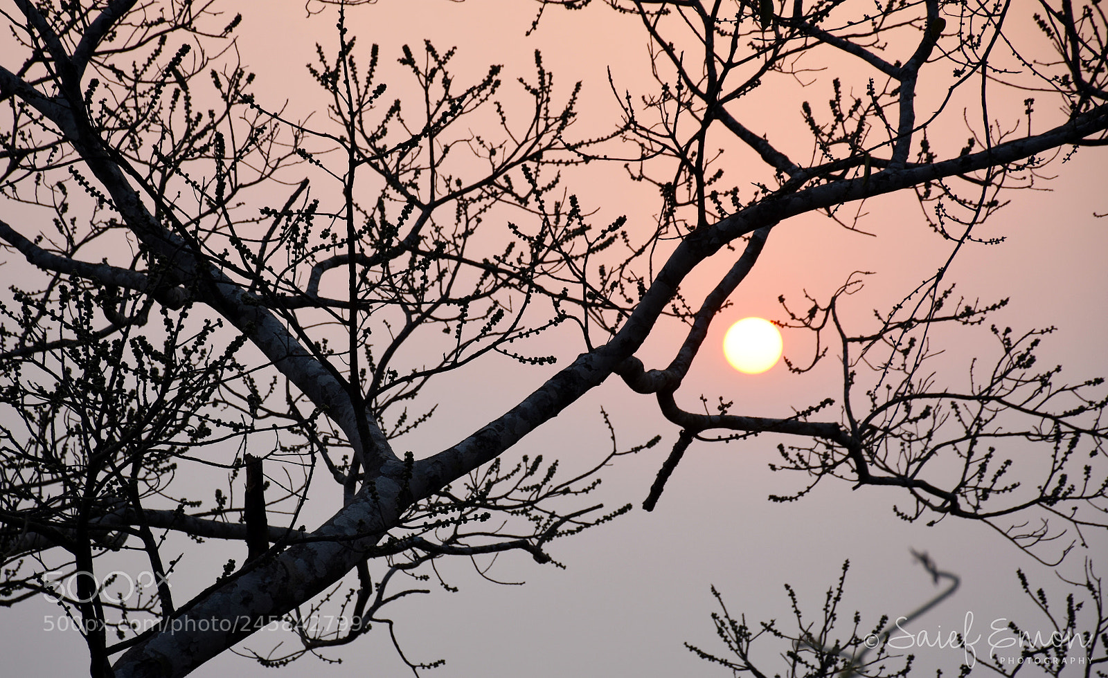 Nikon D7200 sample photo. Dusk photography