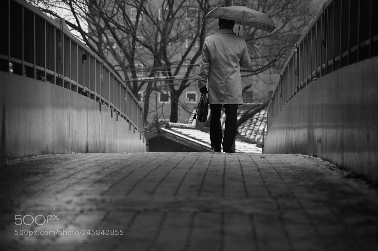 Pentax K-3 sample photo. Raining photography