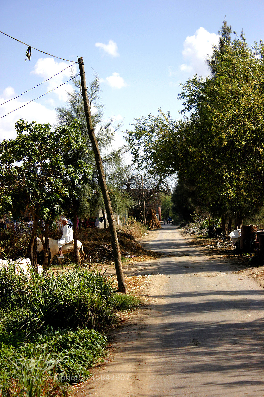 Canon EOS 550D (EOS Rebel T2i / EOS Kiss X4) sample photo. Lovely village photography