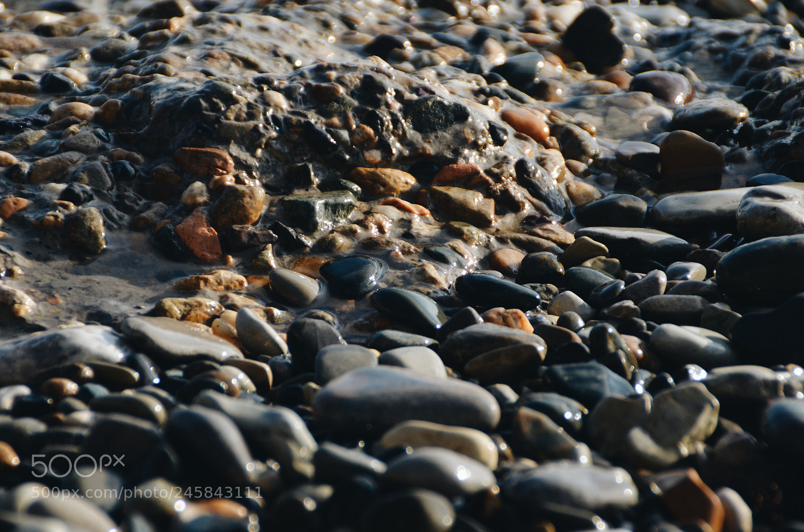 Nikon D5100 sample photo. Russia, lazarevskoje photography