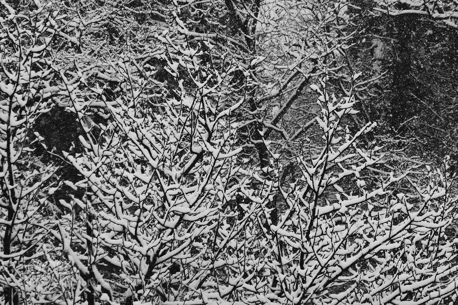 Panasonic Lumix DMC-ZS100 (Lumix DMC-TZ100) sample photo. Winter photography
