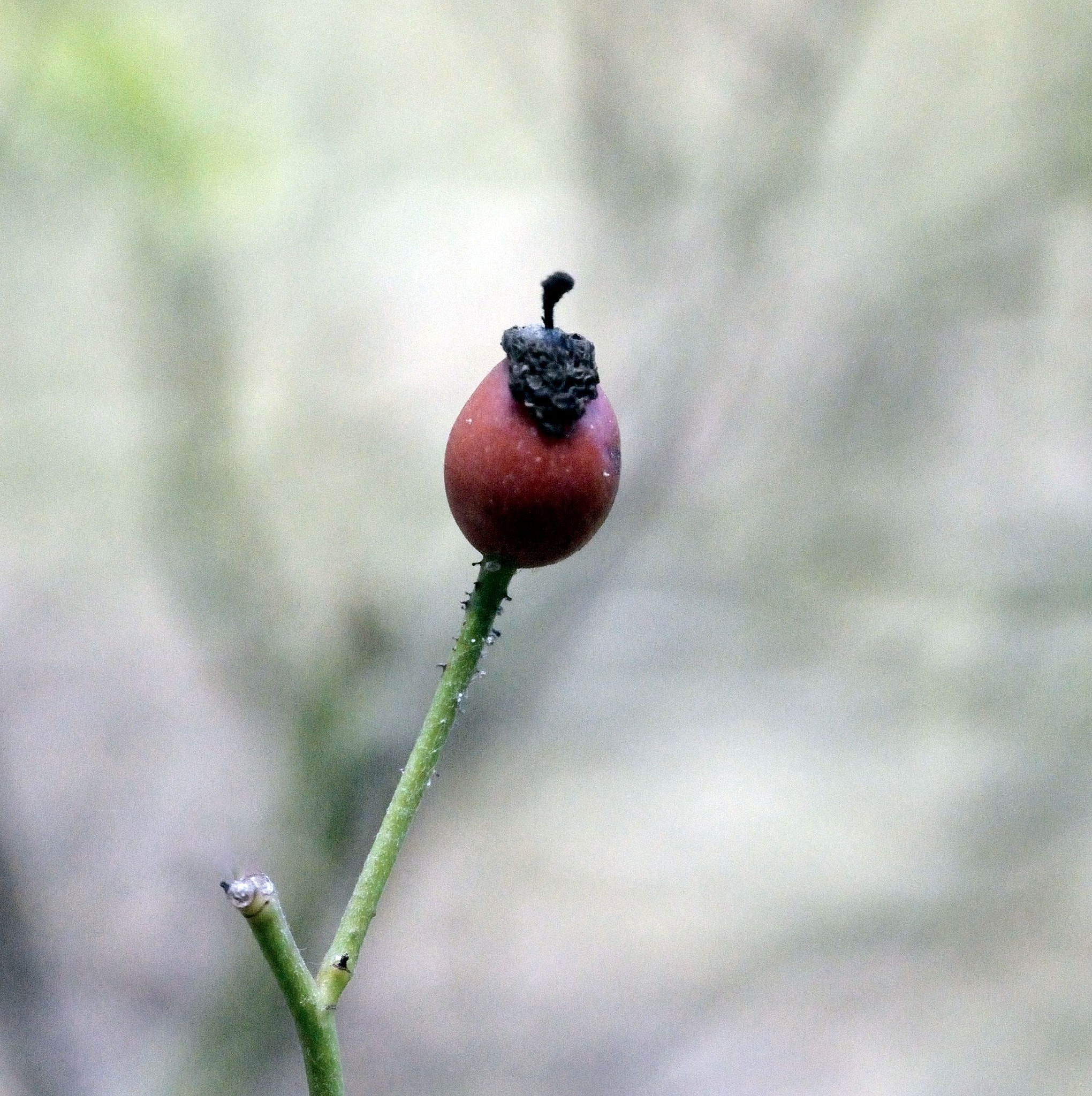 Nikon D3100 sample photo. Unbroken photography