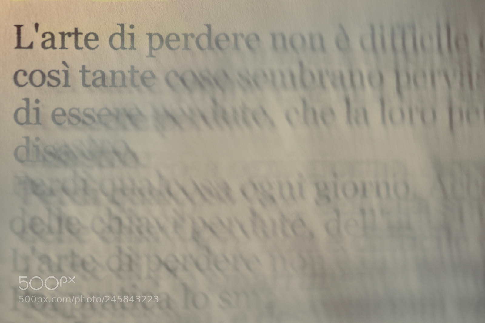 Nikon D7200 sample photo. The art of losing photography