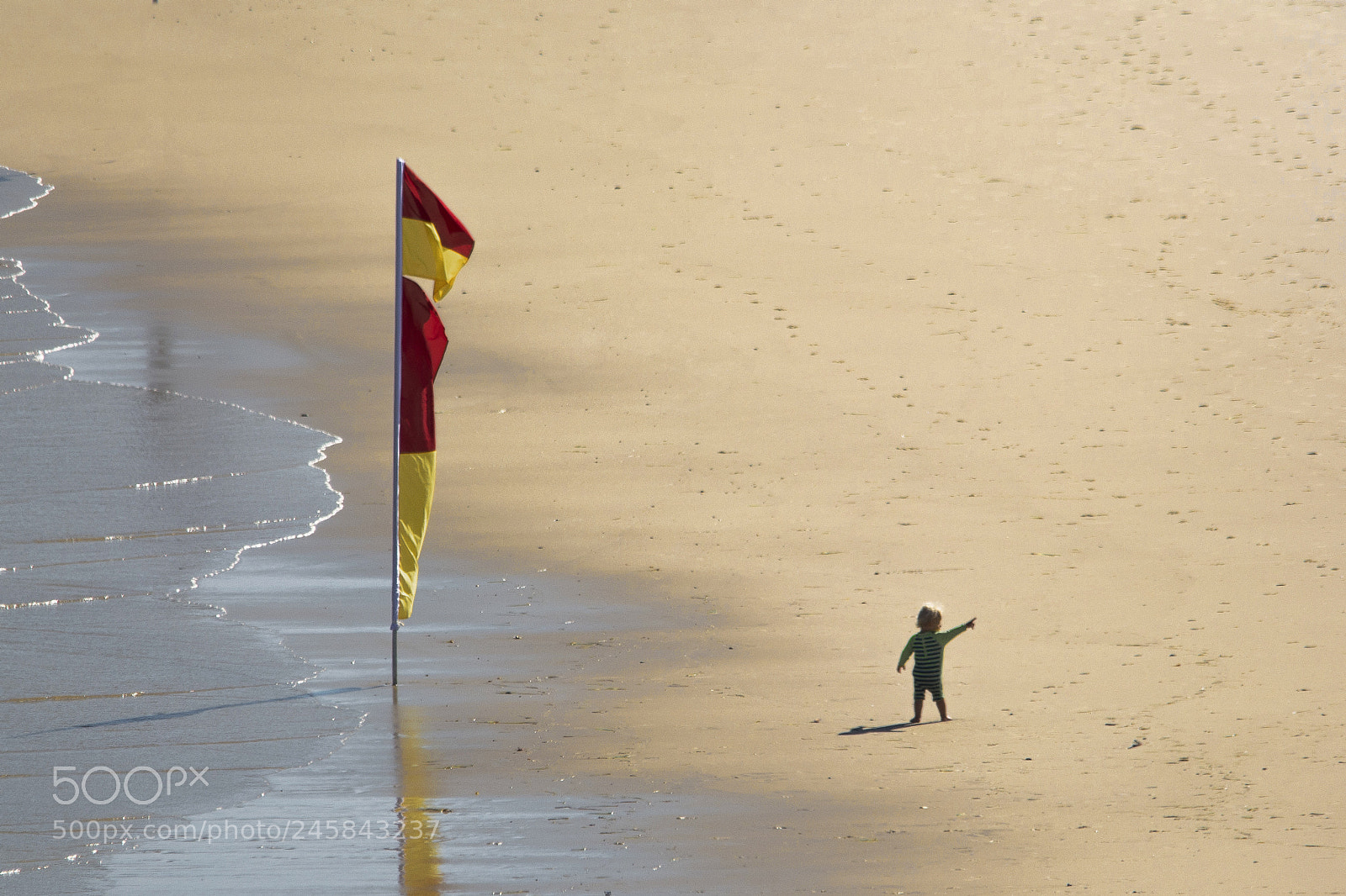 Nikon D7100 sample photo. Boy and flag photography