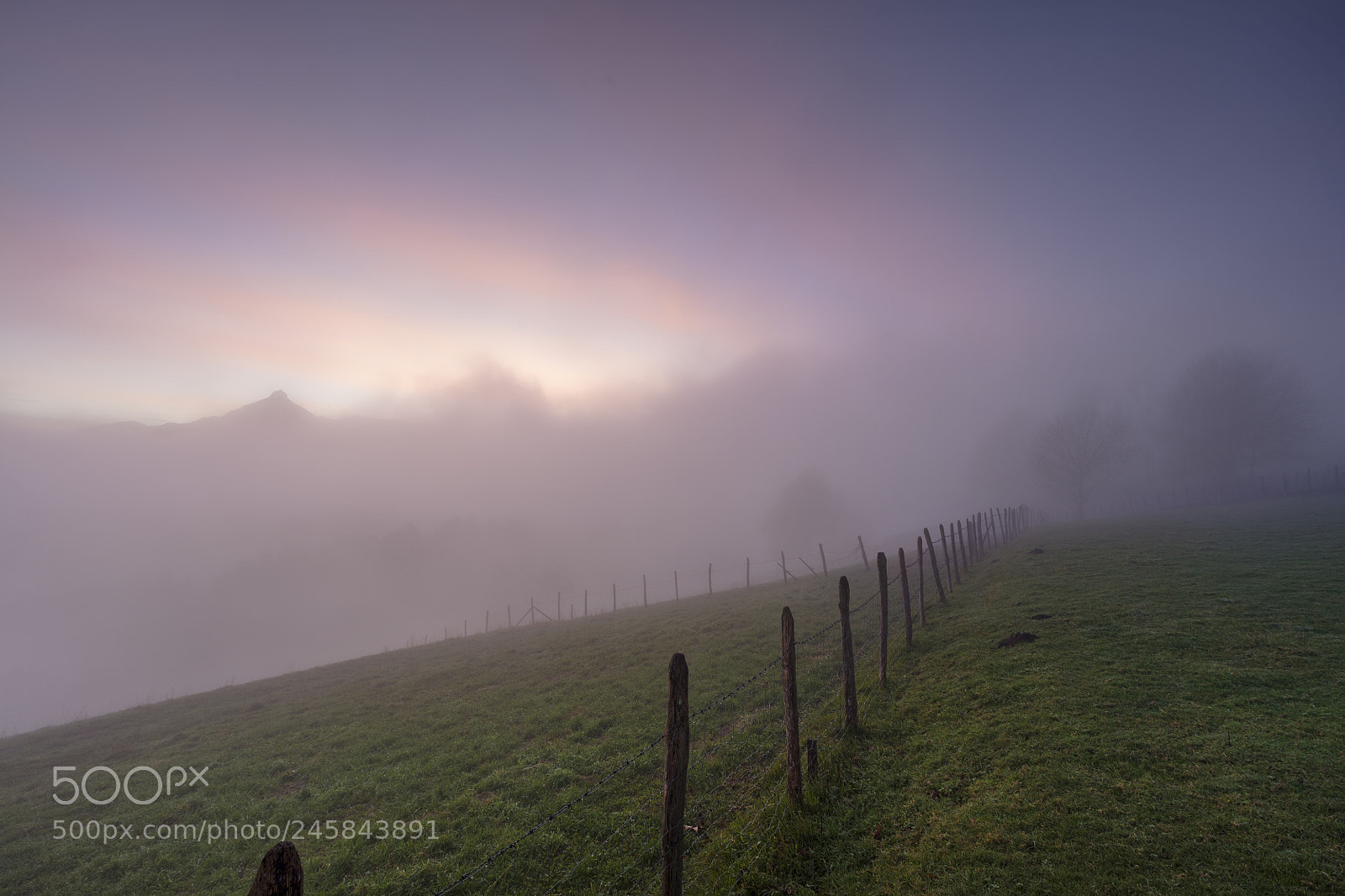 Canon EOS 5DS R sample photo. Fenced fog photography