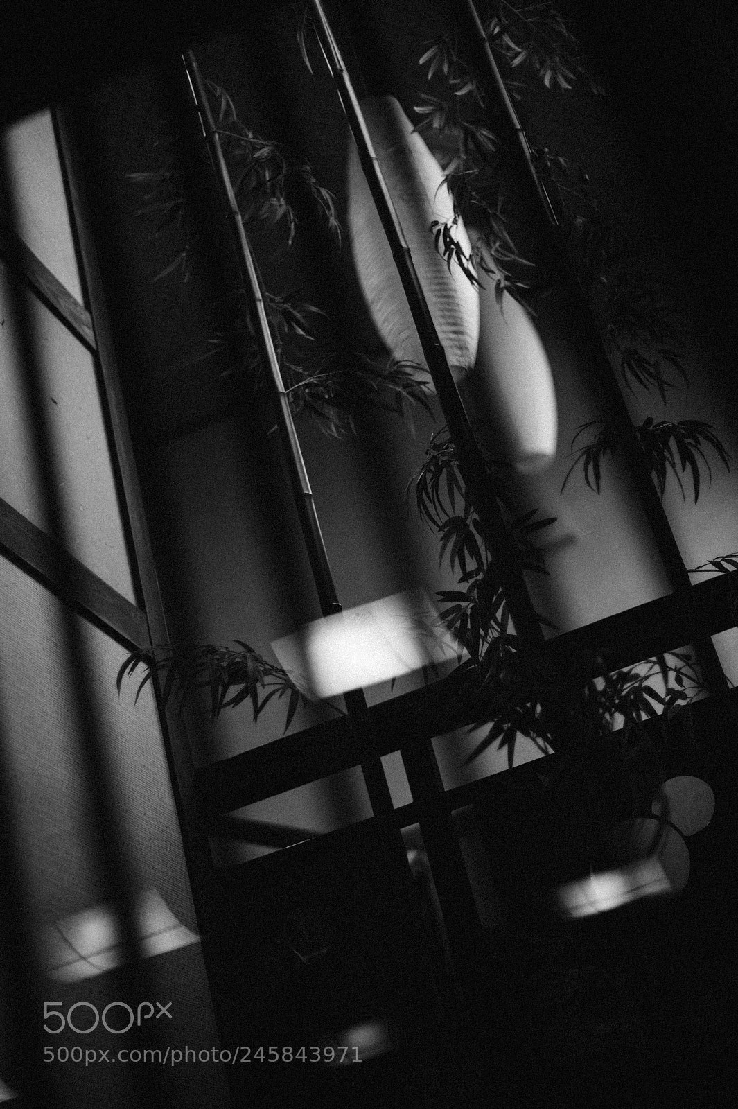 Leica M9 sample photo. 憩 -ikoi- photography
