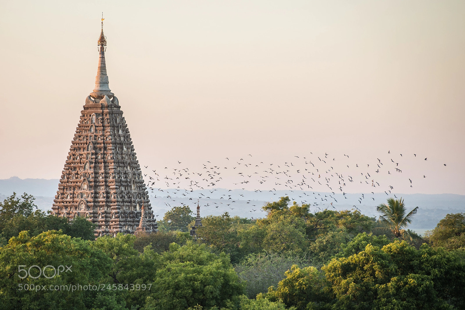 Nikon D600 sample photo. Stupa photography