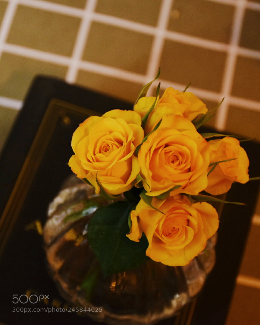 Nikon D5600 sample photo. Untitled photography