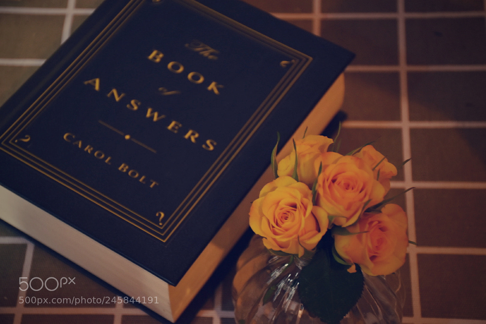 Nikon D5600 sample photo. Untitled photography