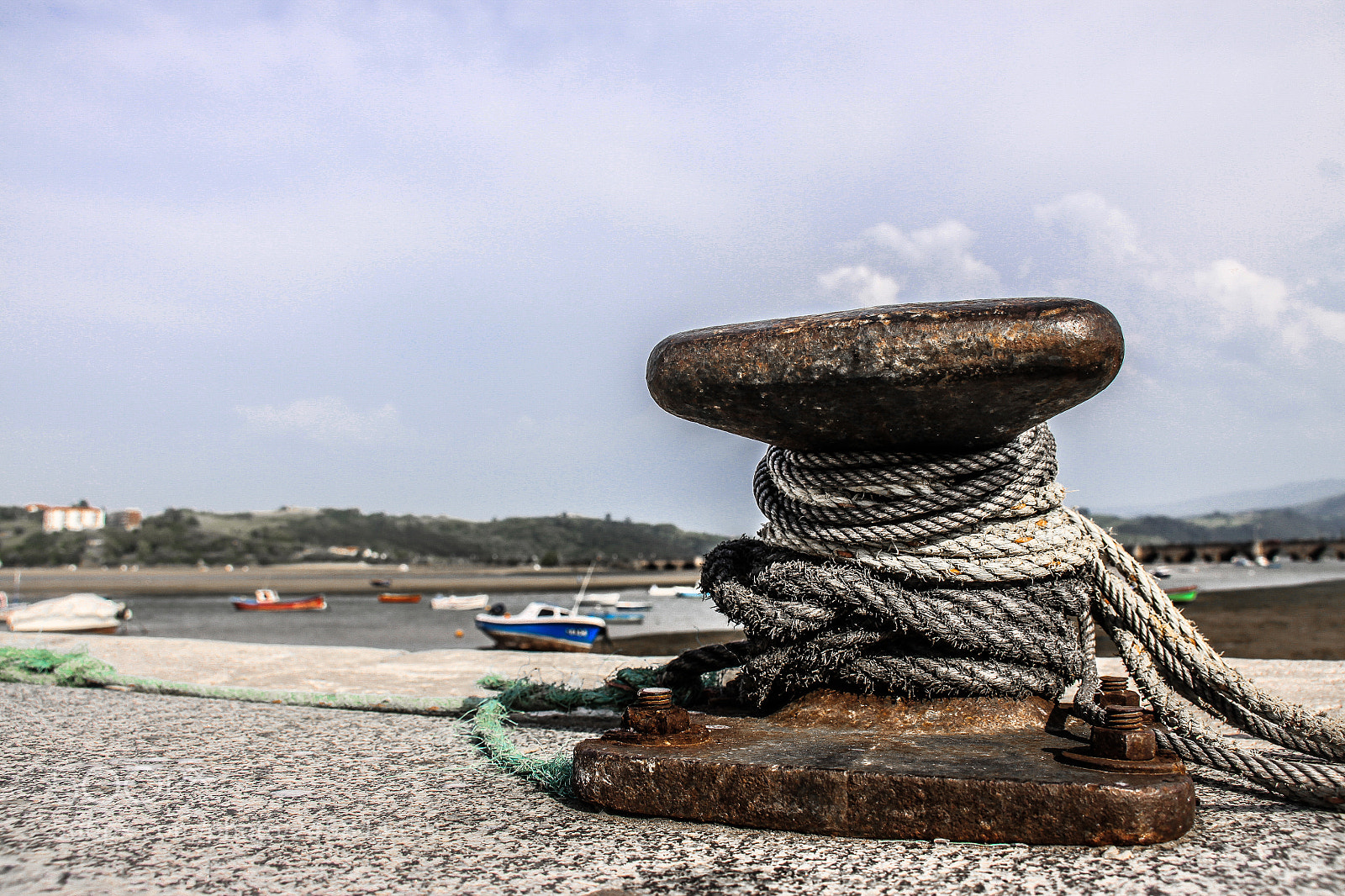 Canon EOS 50D sample photo. Strong photography