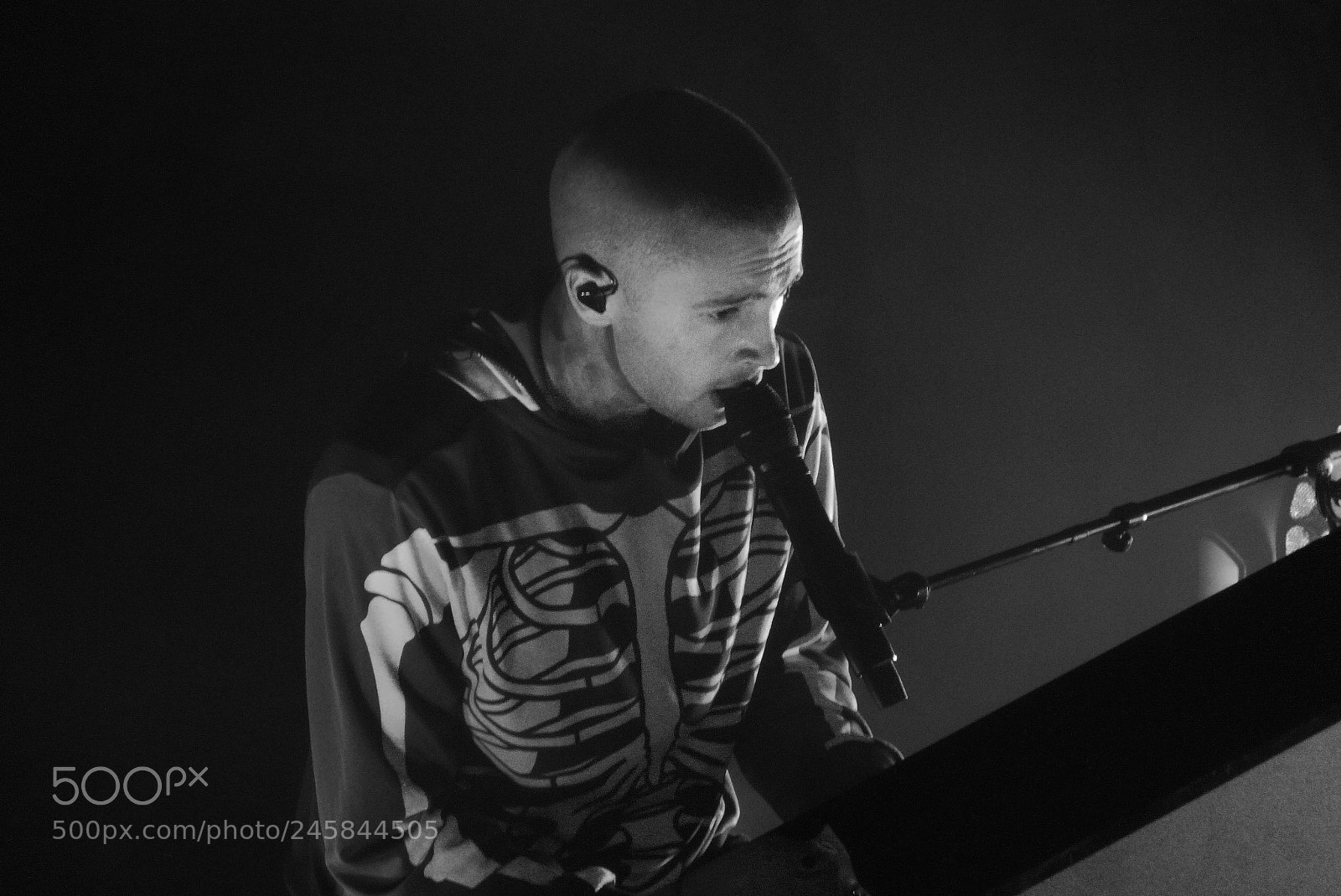 Panasonic Lumix DMC-FZ40 (Lumix DMC-FZ45) sample photo. Twenty one pilots photography
