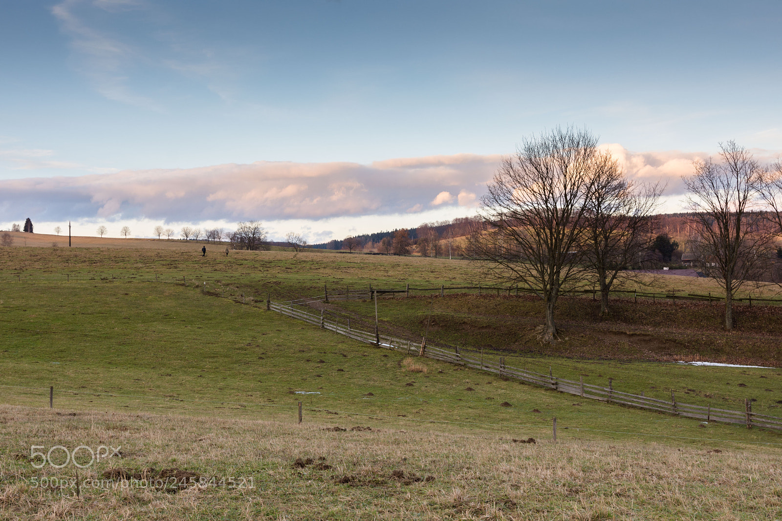 Nikon D7200 sample photo. Untitled photography